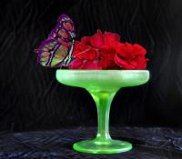 Butterfly Bouquet